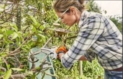 Stihl Accu Mini Kettingzaag SET - Snoeischaar - Snoeizaag - Hand Kettingzaag - Professioneel- Hovenier- Tuinman -Tuinbenodigdheden Bevordering 1200x779