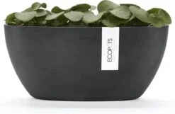 Ecopots | Sofia | Dark Grey | Binnenbloempot | 30 Cm | Ovaal -Tuinbenodigdheden Bevordering 1200x781 3