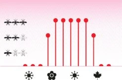 Vapona Anti Muggenstekker Navulling - Insectenbestrijding - 45 Nachten -Tuinbenodigdheden Bevordering 1200x785 2