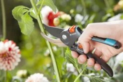 GARDENA Comfort B/M Bypass Snoeischaar - Ø 24mm - Met Sapgeul 19 GARDENA Comfort B/M Bypass Snoeischaar - Ø 24mm - Met Sapgeul -Tuinbenodigdheden Bevordering 1200x799 41