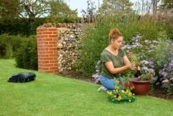 Bosch Indego S+ 500 Robotmaaier - Voor Gazons Tot 500 M2 - Incl. Laadstation En Accessoires - Connected -Tuinbenodigdheden Bevordering 1200x800 112