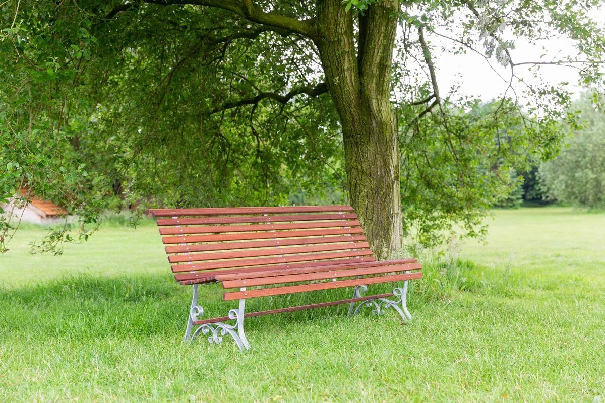 MaximaVida Tuinbank Budapest Oil 170 Cm - Uit Exclusief Mahoniehout 7 MaximaVida Tuinbank Budapest Oil 170 Cm - Uit Exclusief Mahoniehout - Afbeelding 5