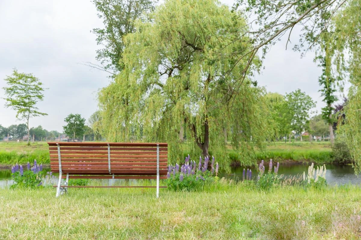 MaximaVida Tuinbank Budapest Oil 170 Cm - Uit Exclusief Mahoniehout 9 MaximaVida Tuinbank Budapest Oil 170 Cm - Uit Exclusief Mahoniehout - Afbeelding 7