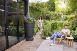 Elho Green Basics Regenton Plus 126 - Regenton Voor Kweken En Oogsten - Ø 70.5 X H 101.0 Cm - Zwart/Living Black -Tuinbenodigdheden Bevordering 1200x800 364