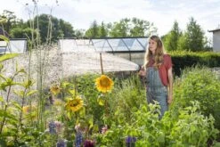 GARDENA - Comfort Broeskop - 5 Straalsoorten - Grijs 29 GARDENA - Comfort Broeskop - 5 Straalsoorten - Grijs -Tuinbenodigdheden Bevordering 1200x800 421