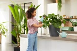 Elho Brussels Gieter 1,8l - Gieter Voor Binnenkweken En Oogsten - Ø 33.0 X H 17.0 Cm - Groen/Mint -Tuinbenodigdheden Bevordering 1200x800 451