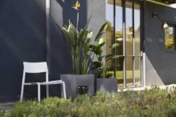 Capi Europe - Bloempot Vierkant Smooth NL - 50x50x50 - Zwart - Voor Binnen En Buiten - KBL904 -Tuinbenodigdheden Bevordering 1200x800 464