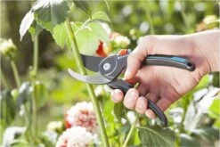 GARDENA Comfort B/M Bypass Snoeischaar - Ø 24mm - Met Sapgeul 13 GARDENA Comfort B/M Bypass Snoeischaar - Ø 24mm - Met Sapgeul -Tuinbenodigdheden Bevordering 1200x800 72