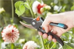 GARDENA Comfort B/M Bypass Snoeischaar - Ø 24mm - Met Sapgeul 15 GARDENA Comfort B/M Bypass Snoeischaar - Ø 24mm - Met Sapgeul -Tuinbenodigdheden Bevordering 1200x800 74