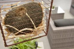 Garden Impressions Montana Loungeset - Organic Grey -Tuinbenodigdheden Bevordering 1200x801 15