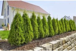 GARDENA Micro Drip System Startset L Druppelsysteem - 50 Meter -Tuinbenodigdheden Bevordering 1200x814 4