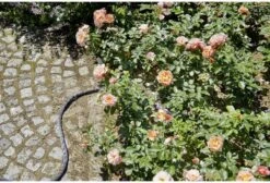 GARDENA - Textielslang Liano™ - Tuinslang - 30 M - 13 Mm 14 GARDENA - Textielslang Liano™ - Tuinslang - 30 M - 13 Mm -Tuinbenodigdheden Bevordering 1200x815 7