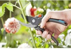 GARDENA Comfort B/M Bypass Snoeischaar - Ø 24mm - Met Sapgeul 16 GARDENA Comfort B/M Bypass Snoeischaar - Ø 24mm - Met Sapgeul -Tuinbenodigdheden Bevordering 1200x822