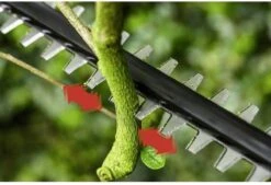 Bosch UniversalHedgePole 18 Heggenschaar Op Steel - Met 18 V Accu En Lader -Tuinbenodigdheden Bevordering 1200x823