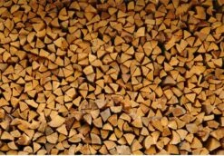 Steko Houtsplijter Voor Grote Blokken - Voor Aanmaakhout & Brandhout - Houtklover - Houtkliever - Splijtwig - Handmatig - Overal Te Gebruiken 1605 Gram - Metaal - Kloofwig - HOGE VOLUMEKORTING -Tuinbenodigdheden Bevordering 1200x837