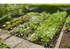 GARDENA Micro Drip System Bloembed En Moestuin Startset Druppelsysteem - 25 Meter 19 GARDENA Micro Drip System Bloembed En Moestuin Startset Druppelsysteem - 25 Meter -Tuinbenodigdheden Bevordering 1200x844 4
