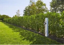 GARDENA - Besproeiingscomputer Flex - Geen App Vereist 20 GARDENA - Besproeiingscomputer Flex - Geen App Vereist -Tuinbenodigdheden Bevordering 1200x856 5