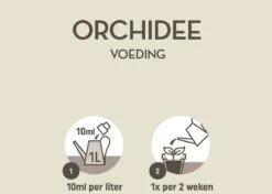 Pokon Orchidee Voeding - 250ml - Plantenvoeding - 10ml Per 1L Water -Tuinbenodigdheden Bevordering 1200x856 6