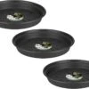 Elho Green Basics Schotel - Plantenschotels - 3 X 14 Cm Zwart -Tuinbenodigdheden Bevordering 1200x878 2