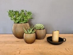 Capi Europe - Set Van 3 - Bloempot Binnen - Groove - - Goud - Bloempot Voor Binnen - BOX-BGVGB-3 -Tuinbenodigdheden Bevordering 1200x912 1