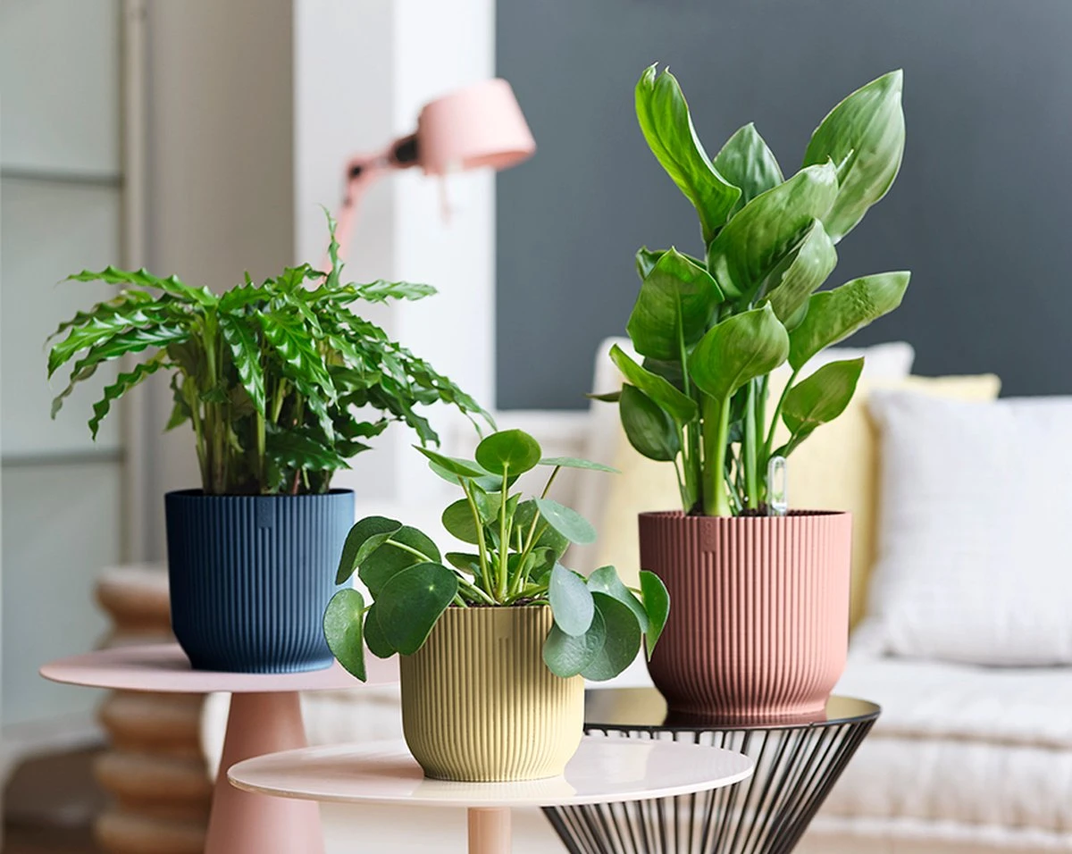 Elho Vibes Fold Rond Wielen 35 - Bloempot Voor Binnen - Ø 34.9 X H 32.4 Cm - Diepblauw 6 Elho Vibes Fold Rond Wielen 35 - Bloempot Voor Binnen - Ø 34.9 X H 32.4 Cm - Diepblauw - Afbeelding 4