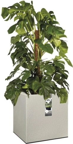 Elho Vivo Structure Finish Vierkant 40 - Plantenbak Voor Binnen & Buiten - Ø 39 X H 41 - Grijs/Warm Grijs -Tuinbenodigdheden Bevordering 613x1200 1