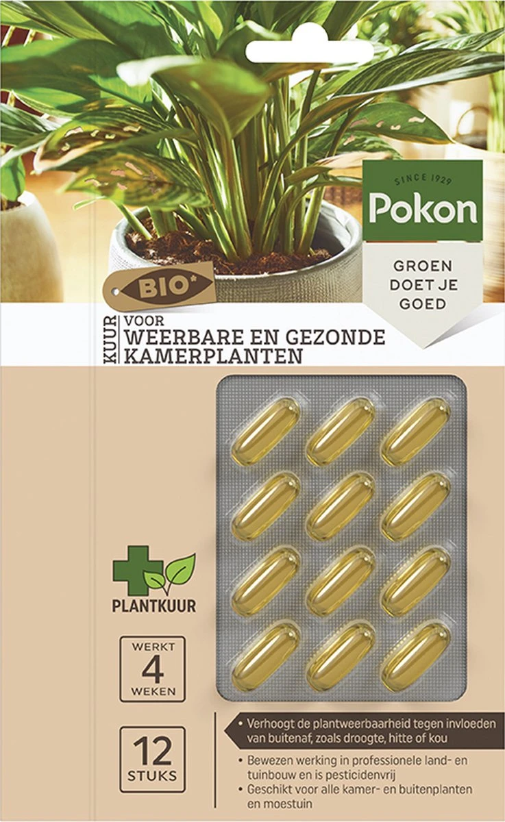 Pokon Bio Kuur Voor Weerbare En Gezonde Kamerplanten - Capsules - 12 Stuks - Geschikt Voor Alle Kamer-, Buitenplanten En Moestuin 3 Pokon Bio Kuur Voor Weerbare En Gezonde Kamerplanten - Capsules - 12 Stuks - Geschikt Voor Alle Kamer-, Buitenplanten En Moestuin