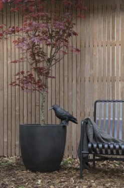 Capi Europe - Bloempot Bol Smooth NL - 54x52 - Zwart - Voor Binnen En Buiten - KBL935 -Tuinbenodigdheden Bevordering 793x1200