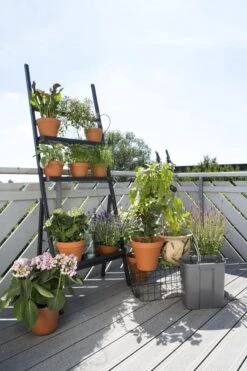 GARDENA Vakantiebewateringsset Duppelsysteem - Geschikt Voor 36 Potplanten - Incl. 9l Vat -Tuinbenodigdheden Bevordering 799x1200 48