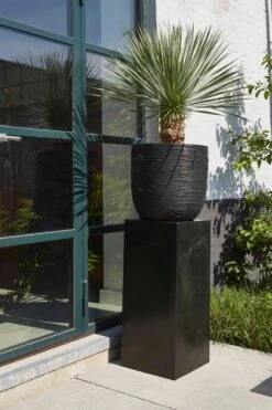 Capi Europe - Bloempot Bol Rib NL - 35x34 - Zwart - Voor Binnen En Buiten - KBLR932 32 Capi Europe - Bloempot Bol Rib NL - 35x34 - Zwart - Voor Binnen En Buiten - KBLR932 -Tuinbenodigdheden Bevordering 799x1200 62