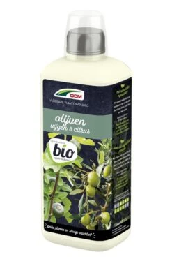 Dcm Meststof Vloeibaar Olijven & Vijgen - Siertuinmeststoffen - 800 Ml Bio -Tuinbenodigdheden Bevordering 799x1200 66