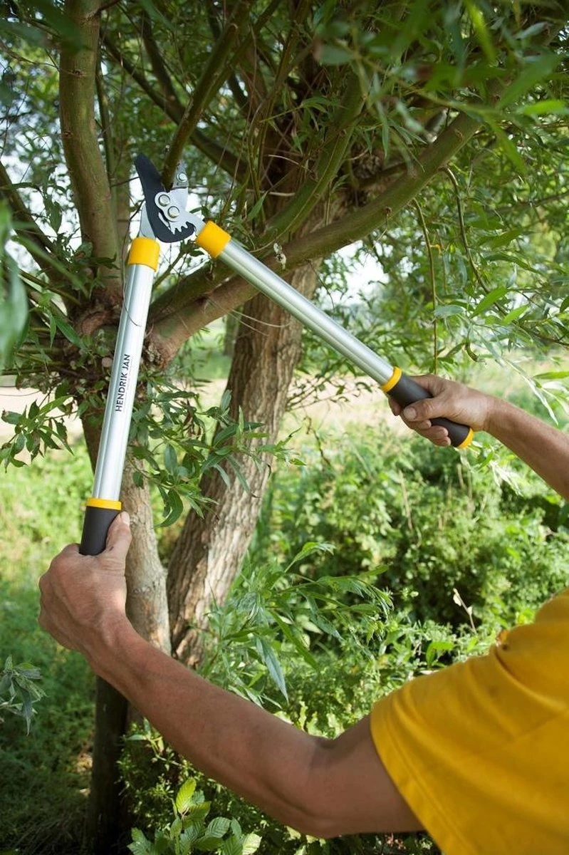 Hendrik Jan - Takkenschaar - Aluminium - Aambeeld - 62 Cm 5 Hendrik Jan - Takkenschaar - Aluminium - Aambeeld - 62 Cm - Afbeelding 3