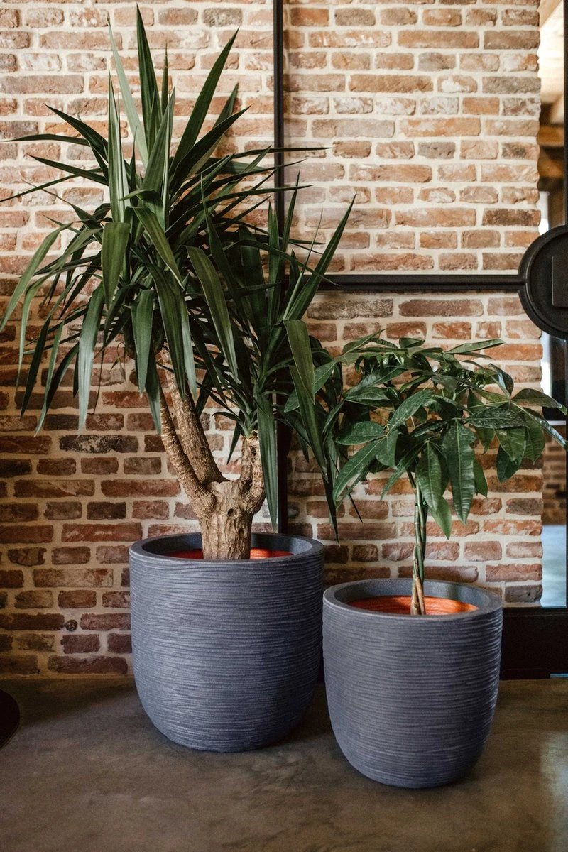 Capi Europe - Bloempot Bol Rib NL - 35x34 - Zwart - Voor Binnen En Buiten - KBLR932 5 Capi Europe - Bloempot Bol Rib NL - 35x34 - Zwart - Voor Binnen En Buiten - KBLR932 - Afbeelding 4