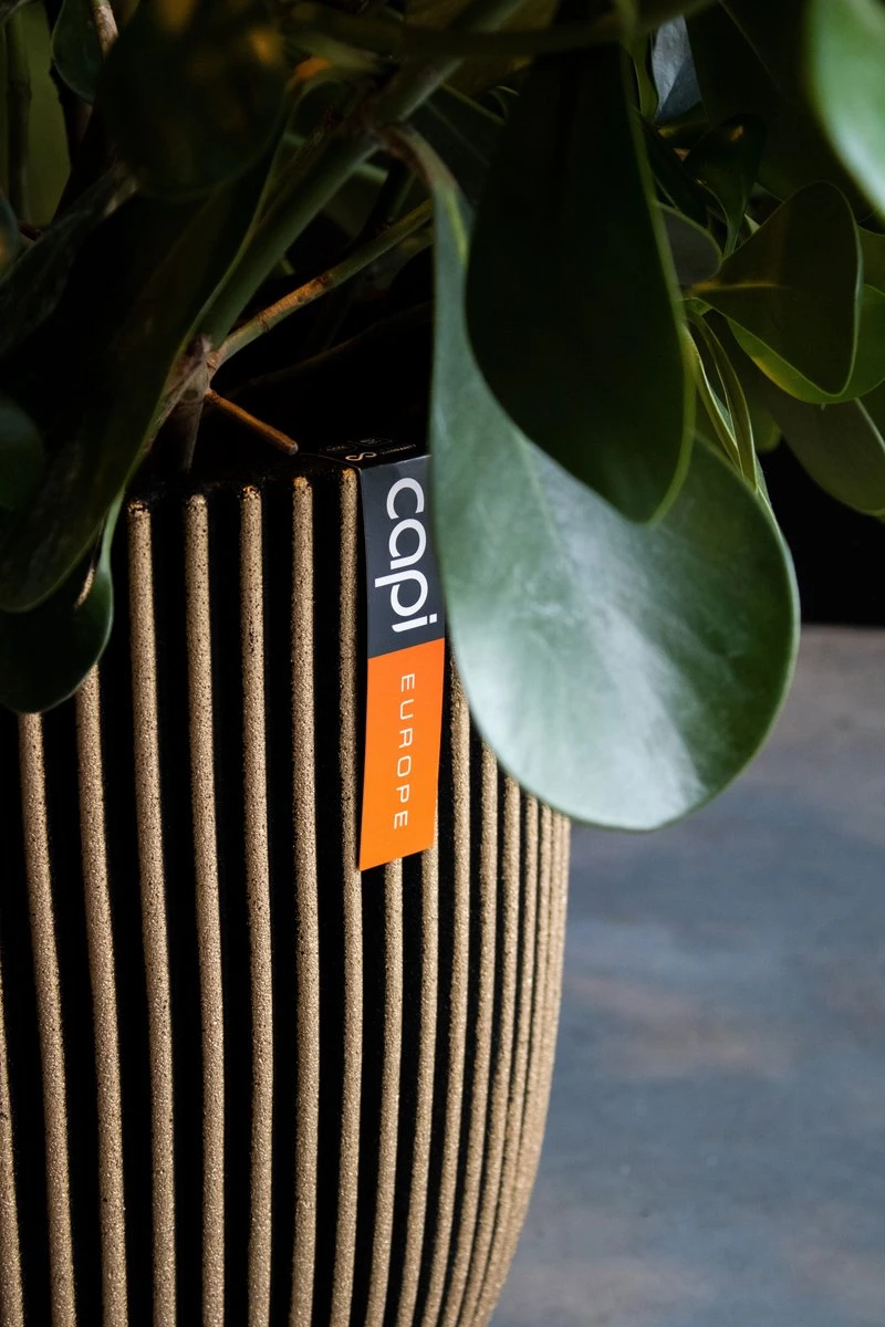 Capi Europe - Bloempot Bol Groove NL - 35x34 - Goud - Voor Binnen En Buiten - KGVGB932 6 Capi Europe - Bloempot Bol Groove NL - 35x34 - Goud - Voor Binnen En Buiten - KGVGB932 - Afbeelding 4