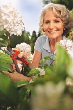 WOLF-Garten Snoeischaar "Premium Plus" RR 4000 - Max. Knipdiameter 22 Mm - Links- En Rechtshandige - Softinleg Handgreep - Snijhoek 30° - Voor Grote Handen - Vervangbare Messen -Tuinbenodigdheden Bevordering 800x1200 13