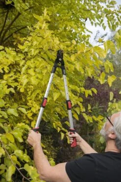 Kreator KRTGR4013 Telescopische Takkenschaar - 63-89 Cm Totale Lengte - . Ø39 Mm Knipdiameter 9 Kreator KRTGR4013 Telescopische Takkenschaar - 63-89 Cm Totale Lengte - . Ø39 Mm Knipdiameter -Tuinbenodigdheden Bevordering 800x1200 16