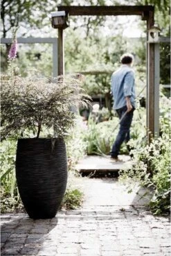 Capi Europe - Vaas Elegant Deluxe Rib NL - 56x84 - Zwart - Voor Binnen En Buiten - KBLR1132 16 Capi Europe - Vaas Elegant Deluxe Rib NL - 56x84 - Zwart - Voor Binnen En Buiten - KBLR1132 -Tuinbenodigdheden Bevordering 803x1200 4