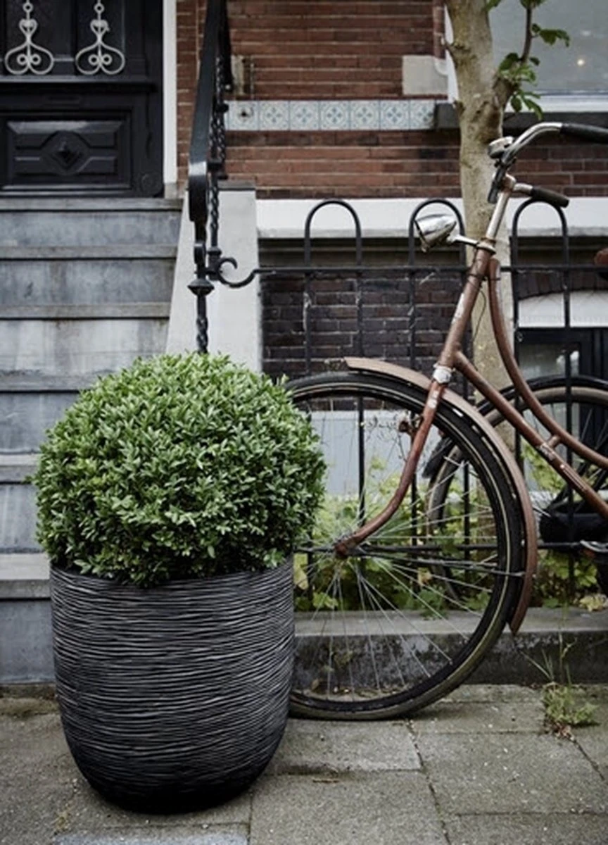 Capi Europe - Bloempot Bol Rib NL - 35x34 - Zwart - Voor Binnen En Buiten - KBLR932 13 Capi Europe - Bloempot Bol Rib NL - 35x34 - Zwart - Voor Binnen En Buiten - KBLR932 - Afbeelding 12