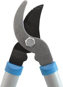 Hyundai Snoeiset 3-delig - Snoeischaar - Takkenschaar - Heggenschaar -Tuinbenodigdheden Bevordering 869x1200