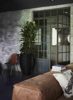 Capi Europe - Vaas Elegant Deluxe Rib NL - 56x84 - Zwart - Voor Binnen En Buiten - KBLR1132 14 Capi Europe - Vaas Elegant Deluxe Rib NL - 56x84 - Zwart - Voor Binnen En Buiten - KBLR1132 -Tuinbenodigdheden Bevordering 873x1200 1