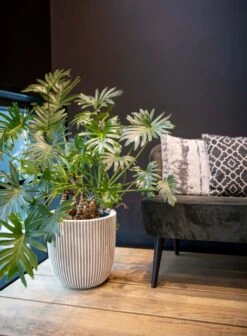 Capi Europe - Bloempot Bol Groove NL - 35x34 - Goud - Voor Binnen En Buiten - KGVGB932 8 Capi Europe - Bloempot Bol Groove NL - 35x34 - Goud - Voor Binnen En Buiten - KGVGB932 -Tuinbenodigdheden Bevordering 883x1200 3