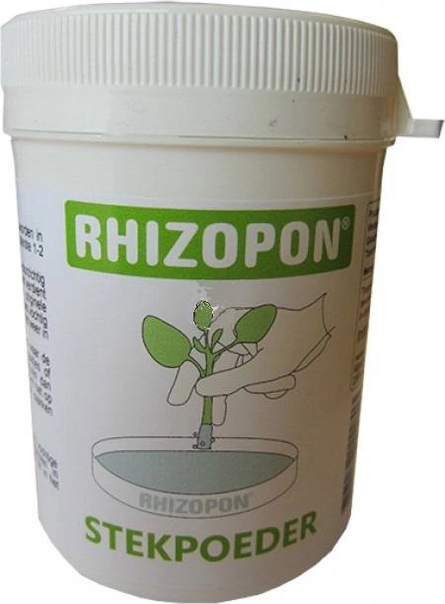 RHIZOPON CHRYZOTOP GROEN STEKPOEDER 0.25% 25 GRAM 4 RHIZOPON CHRYZOTOP GROEN STEKPOEDER 0.25% 25 GRAM - Afbeelding 2