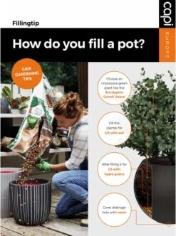 Capi Europe - Bloempot Vierkant Smooth NL - 50x50x50 - Zwart - Voor Binnen En Buiten - KBL904 -Tuinbenodigdheden Bevordering 892x1200 3