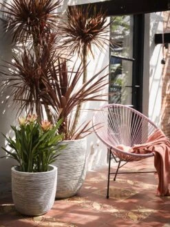 Capi Europe - Bloempot Bol Rib NL - 35x34 - Zwart - Voor Binnen En Buiten - KBLR932 20 Capi Europe - Bloempot Bol Rib NL - 35x34 - Zwart - Voor Binnen En Buiten - KBLR932 -Tuinbenodigdheden Bevordering 900x1200 25