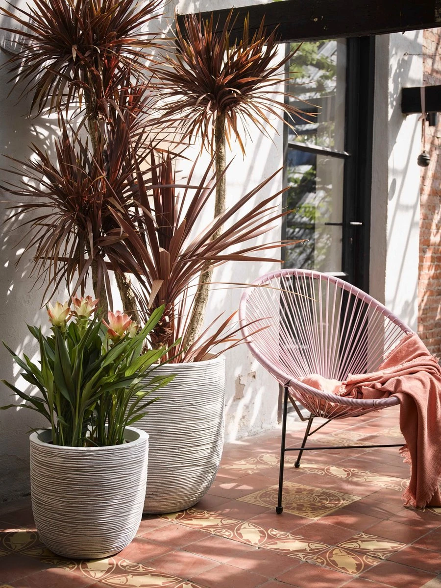 Capi Europe - Bloempot Bol Rib NL - 35x34 - Zwart - Voor Binnen En Buiten - KBLR932 4 Capi Europe - Bloempot Bol Rib NL - 35x34 - Zwart - Voor Binnen En Buiten - KBLR932 - Afbeelding 3