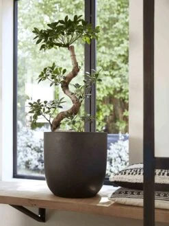 Capi Europe - Bloempot Bol Smooth NL - 54x52 - Zwart - Voor Binnen En Buiten - KBL935 -Tuinbenodigdheden Bevordering 900x1200 27