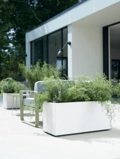 Elho Vivo Matt Finish Lang Wielen 90 - Grote Staande Plantenbak Voor Binnen & Buiten - Gemaakt Van Gereycled Plastic - L 39 X W 88 X H 41 Cm - Wit -Tuinbenodigdheden Bevordering 900x1200 33