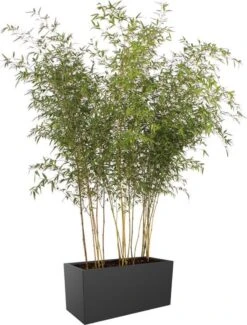 Elho Vivo Matt Finish Lang Wielen 90 - Grote Staande Plantenbak Voor Binnen & Buiten - Gemaakt Van Gereycled Plastic - L 39 X W 88 X H 41 Cm - Zwart -Tuinbenodigdheden Bevordering 911x1200