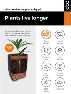 Capi Europe - Bloempot Vierkant Smooth NL - 50x50x50 - Zwart - Voor Binnen En Buiten - KBL904 -Tuinbenodigdheden Bevordering 916x1200 4