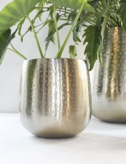 Gina Da - Bloempot - Karakter - Goud - Metaal - 15 Cm Hoog 11 Gina Da - Bloempot - Karakter - Goud - Metaal - 15 Cm Hoog -Tuinbenodigdheden Bevordering 926x1200 3